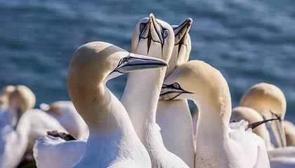 篮球比赛尘埃落定，赛果让球迷惊喜不已